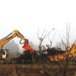 ABC-land clearing services