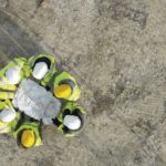 Building Capacity – Skills Development