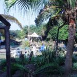 Dube Safaris & Entertainment