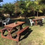 Dube Safaris & Entertainment – Pic 3-1