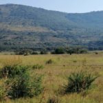 Balele Game Park 11