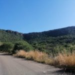 Balele Game Park 18