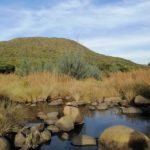 Balele Game Park 20