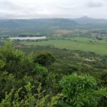 Balele Game Park 7