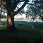 Balele Game Park 9