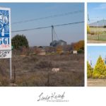 Biggi Brands – Hopetown