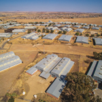 FDC – Industrial Development Free State