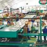 Westfalia fruit warehouse