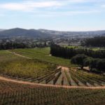 Launch of world-class platform for vineyard training and research