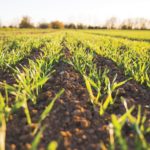 Standard Bank – KwaZulu-Natal Agriculture Sector