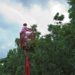 Tending pecan nut trees in the Northern Cape