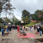 Elizabeth Park Bellville 3