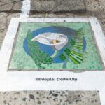 1703249988_GTP___Mosaic_masterpieces_unveiled_in_Bellville_s_De_Lange_Street__3_