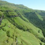 Sappi’s Clairmont Mountain Nature Reserve is home to 10 red-data species
