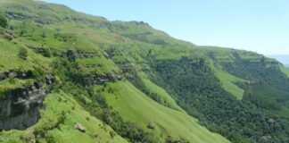 Sappi’s Clairmont Mountain Nature Reserve is home to 10 red-data species