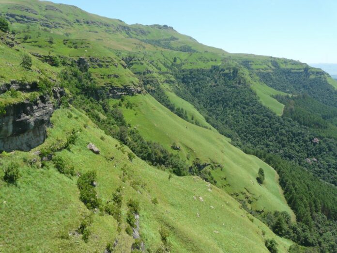 Sappi’s Clairmont Mountain Nature Reserve is home to 10 red-data species