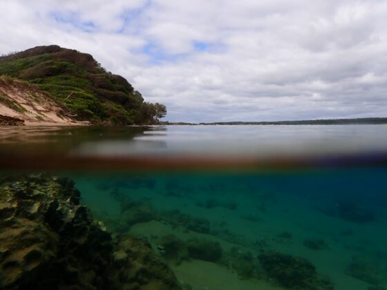 Clear water makes for superb snorkelling in the Kosi Mouth area of the iSimanagliso MPA. Credit: Judy Mann