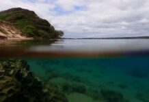 Clear water makes for superb snorkelling in the Kosi Mouth area of the iSimanagliso MPA. Credit: Judy Mann