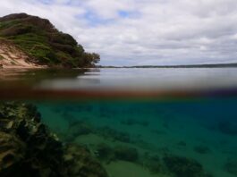 Clear water makes for superb snorkelling in the Kosi Mouth area of the iSimanagliso MPA. Credit: Judy Mann