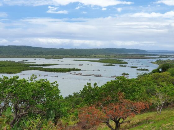 Traditional fish kraals are a feature of the iSimangaliso Wetland Park MPA. Credit: Judy Mann