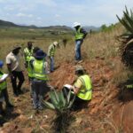 Council for Geoscience – Mapping – Mpumalanga – South Africa