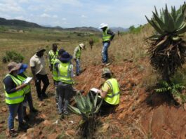 Council for Geoscience - Mapping - Mpumalanga - South Africa